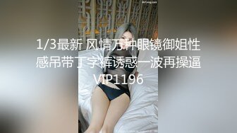 1/3最新 风情万种眼镜御姐性感吊带丁字裤诱惑一波再操逼VIP1196