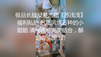 极品长腿反差尤物〖苏浅浅〗福利私拍 气质风情万种的小姐姐 清纯诱惑完美结合，酥到骨头里 (2)