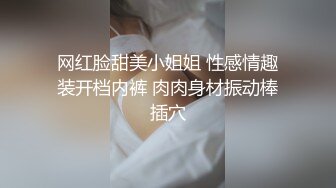 网红脸甜美小姐姐 性感情趣装开档内裤 肉肉身材振动棒插穴