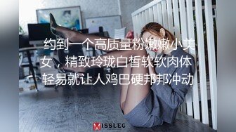 高挑的高级外围模特儿 (1)