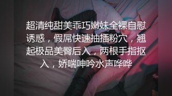 女仆为我服务1.0-泄密-校花-孕妇-打电话-深喉-Ktv