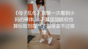 潜入高档餐厅偷拍黄发妹子丰腴的无毛B