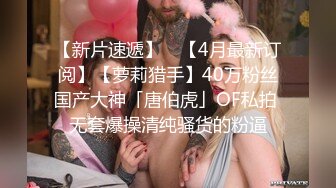 女搜查官特殊手段