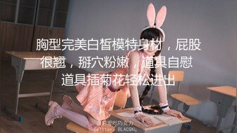 牛人潜入公共女厕偷拍