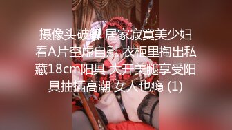 操了个穿着女仆装带着猫咪面具的极品