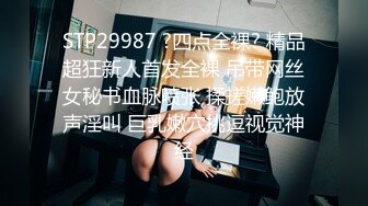 MDX-0060_美艳射工的心里辅导_上门挑逗极致诱惑官网-夏晴子