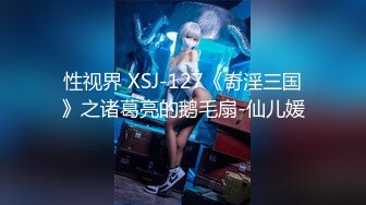 性视界 XSJ-127《奇淫三国》之诸葛亮的鹅毛扇-仙儿媛