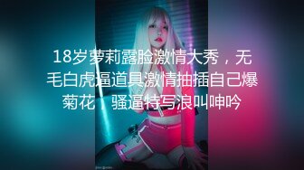 【新片速遞】   【极品厕拍】游乐场公厕偷拍多位漂亮的小妹纸❤️美女的逼毛快要飞起来了