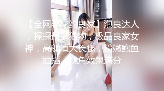 【杏吧】妮蔻-性福修理工