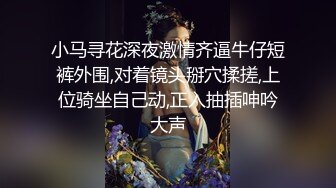 极美的大屁股