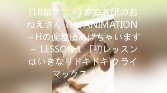 (18禁アニメ) 家庭教師のおねえさん THE ANIMATION ～Hの偏差値あげちゃいます～ LESSON.1 「初レッスンはいきなりドキドキ クライマックス！？」