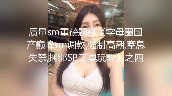 AI绘画 人工智能 动漫风模拟写实真人 淫荡 痴女 无修正