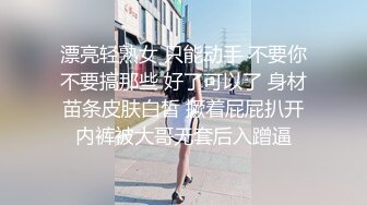 onlyfans淫妻绿帽【swingdog】 约单男3p啪啪 无套输出最新合集【496V】 (195)