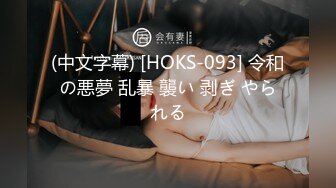 XSJKY-028 莉娜 春节与美艳房东共度春宵 性视界传媒