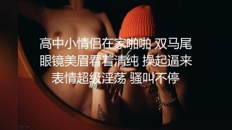 骚母狗穿黑丝深喉口交淫语想被男人干