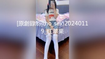 高颜值在职平面模特骚姐姐【冉北北】高跟长腿~极品美臀做爱【100V】 (17)