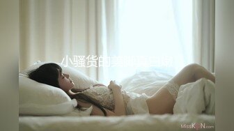 【小丑探花】深夜约操骚女，撩起衣服掏出奶子舔