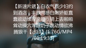 4/11最新 上个刚走又来美女这个比较骚肉丝大屁股翘起吃屌VIP1196