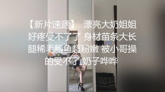 SWAG NTR车模老婆的绿帽梦想 琳琳