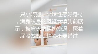 一只小阿狸，火辣性感好身材，满身纹身的风骚女镜头前展示，披肩长发揉奶摸逼，撅着屁股发骚，精彩不要错过