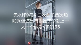 骚女车震