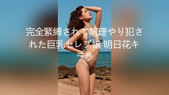 完全緊縛されて無理やり犯された巨乳セレブ嬢 明日花キララ