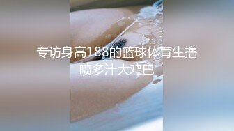 LJ极品地铁高清CD系列20部合集 (18)