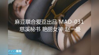 麻豆联合爱豆出品 MAD-031 慈溪秘书 艳丽女神 赵一曼