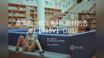 收集的一些淫妻BBC题材的合集1【385V】 (201)