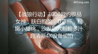 【战狼行动】3000网约极品女神，肤白貌美，D罩杯，粉嫩小樱桃，沙发掰穴粉鲍多汁，超清晰4K设备偷拍