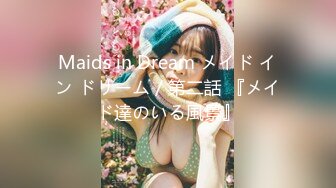 Maids in Dream メイド イン ドリーム／第二話 『メイド達のいる風景』