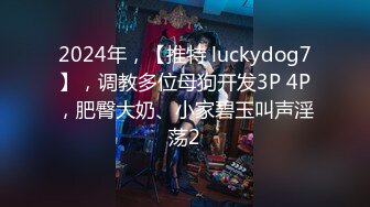 2024年，【推特 luckydog7】，调教多位母狗开发3P 4P，肥臀大奶、小家碧玉叫声淫荡2