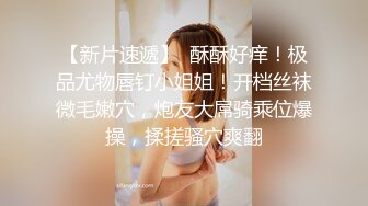 商场女厕蹲守性感黑丝少妇的小黑鲍