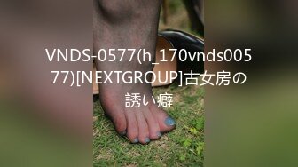 VNDS-0577(h_170vnds00577)[NEXTGROUP]古女房の誘い癖