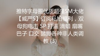 推特字母圈优质超强SM大佬【威严S】订阅私拍福利，双母狗电击 SP 打逼 滴蜡 扇嘴巴子 口交 舔脚各种非人类调教 (3)