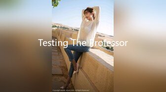 Testing The Professor